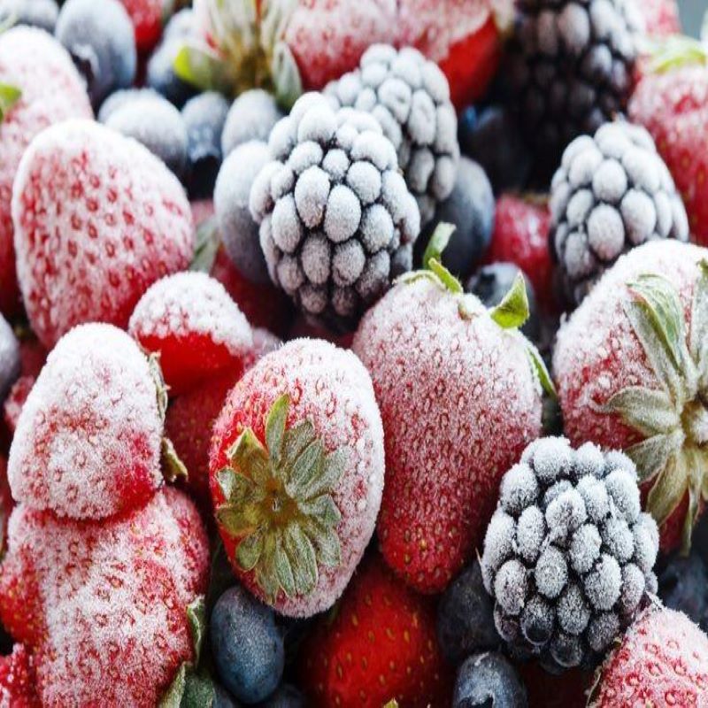 FROZEN FRUITS, PUREES, TARTS & MORE - Papagino Foods Inc.