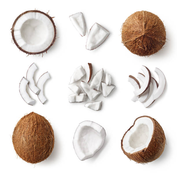 Coconut Bulk - Papagino Foods Inc.
