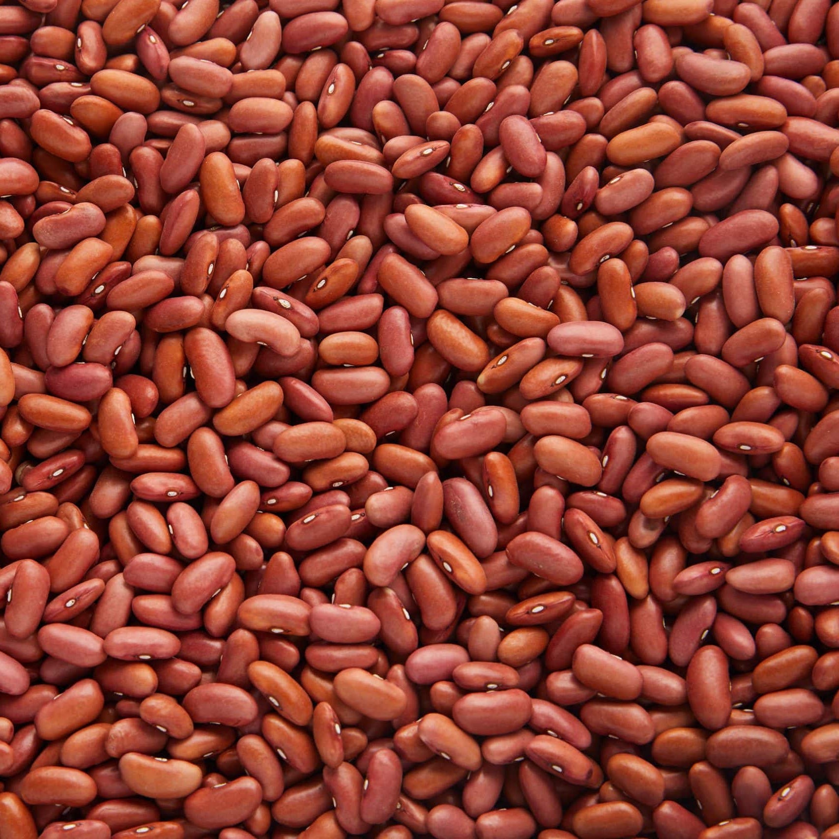 Light Red Kidney Beans