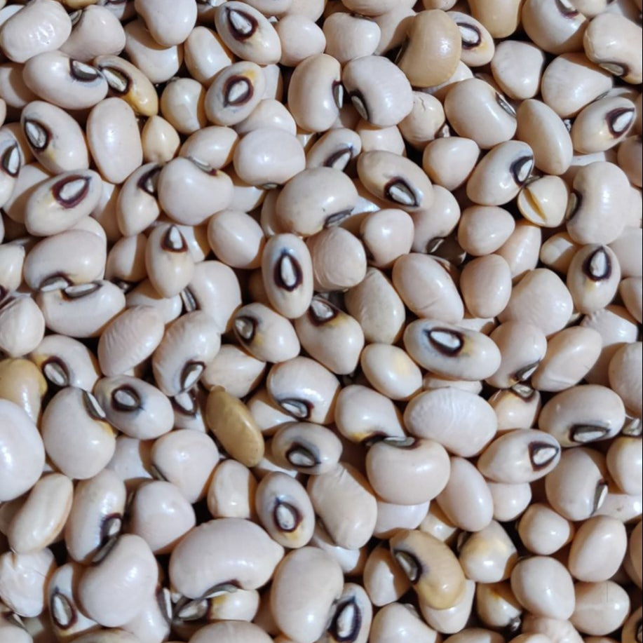 White Kidney Beans 5 kg