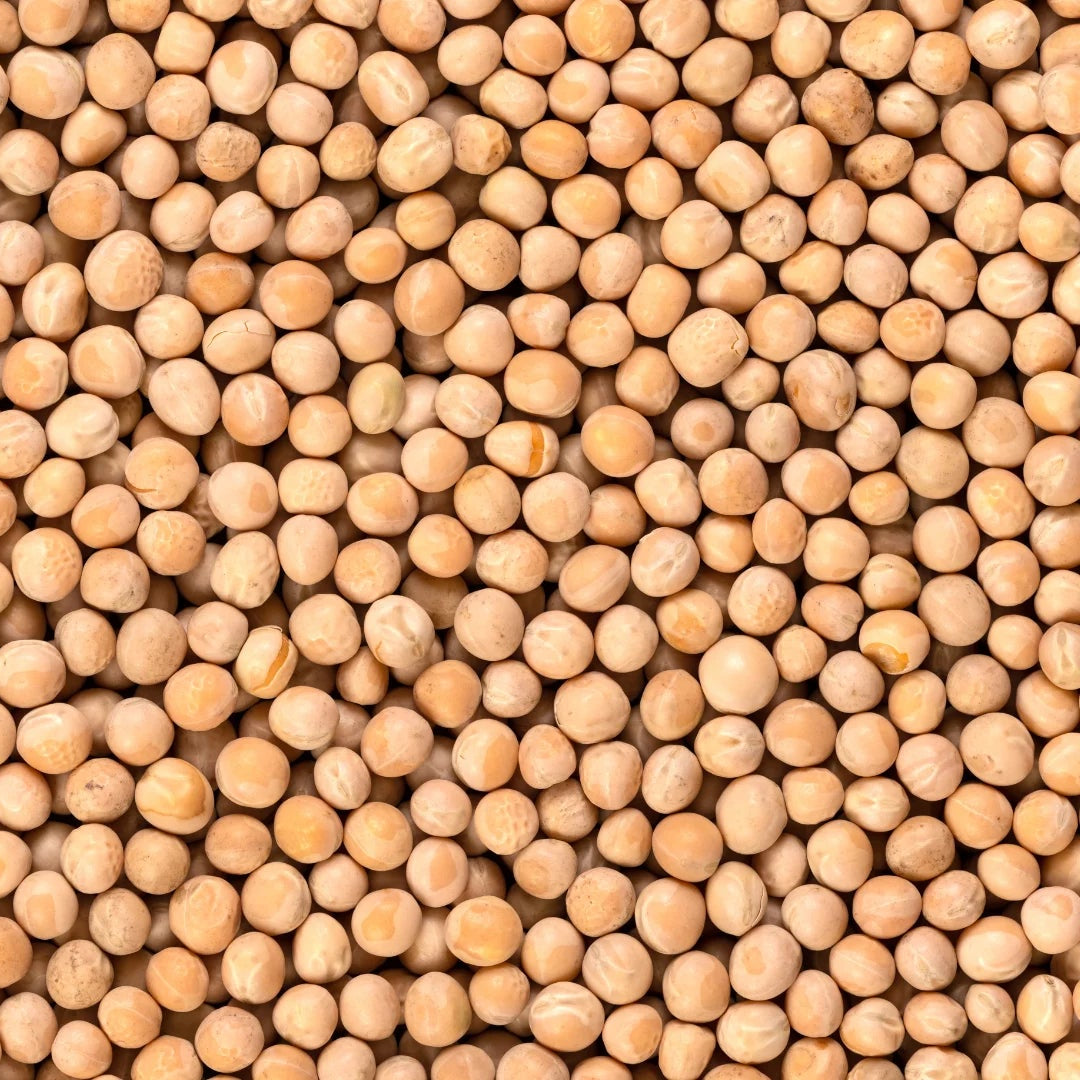 Whole Yellow Peas