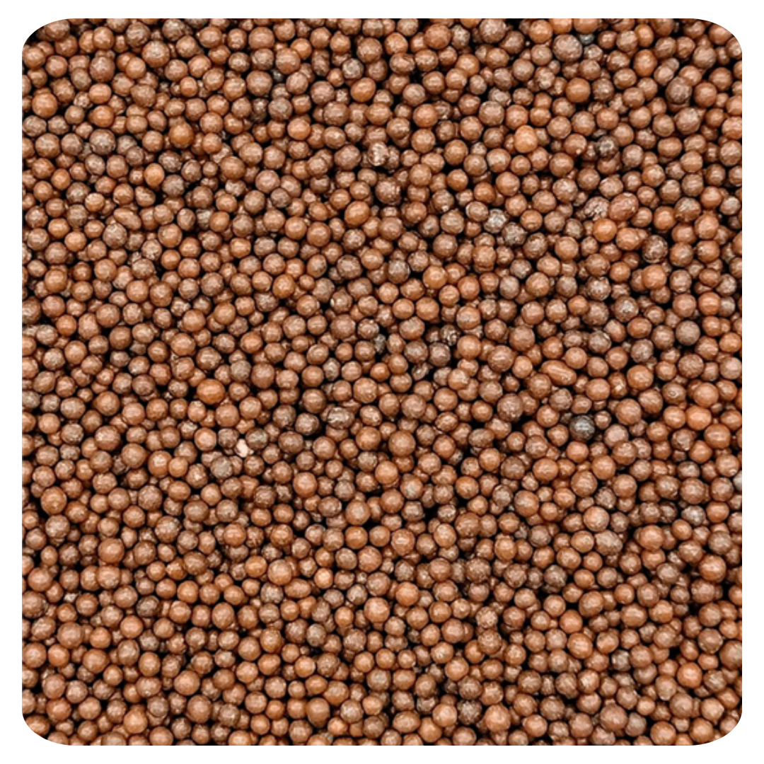 Brown Non Pareil 100g (3.5 oz) Sprinkles d'Art - Papagino Foods Inc.