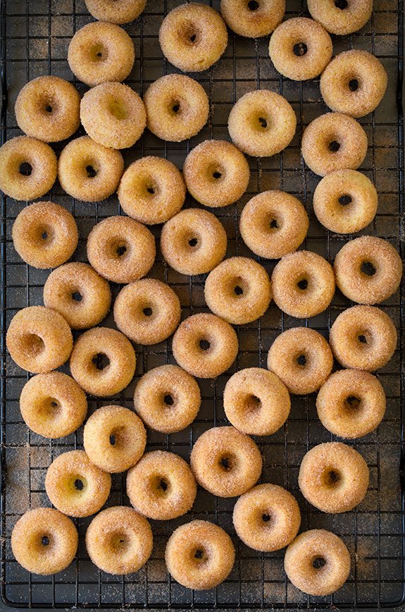 Pronto 89 Vanilla Mini Doughnut Mix 20 Kg (Pickup Only) - Papagino Foods Inc.