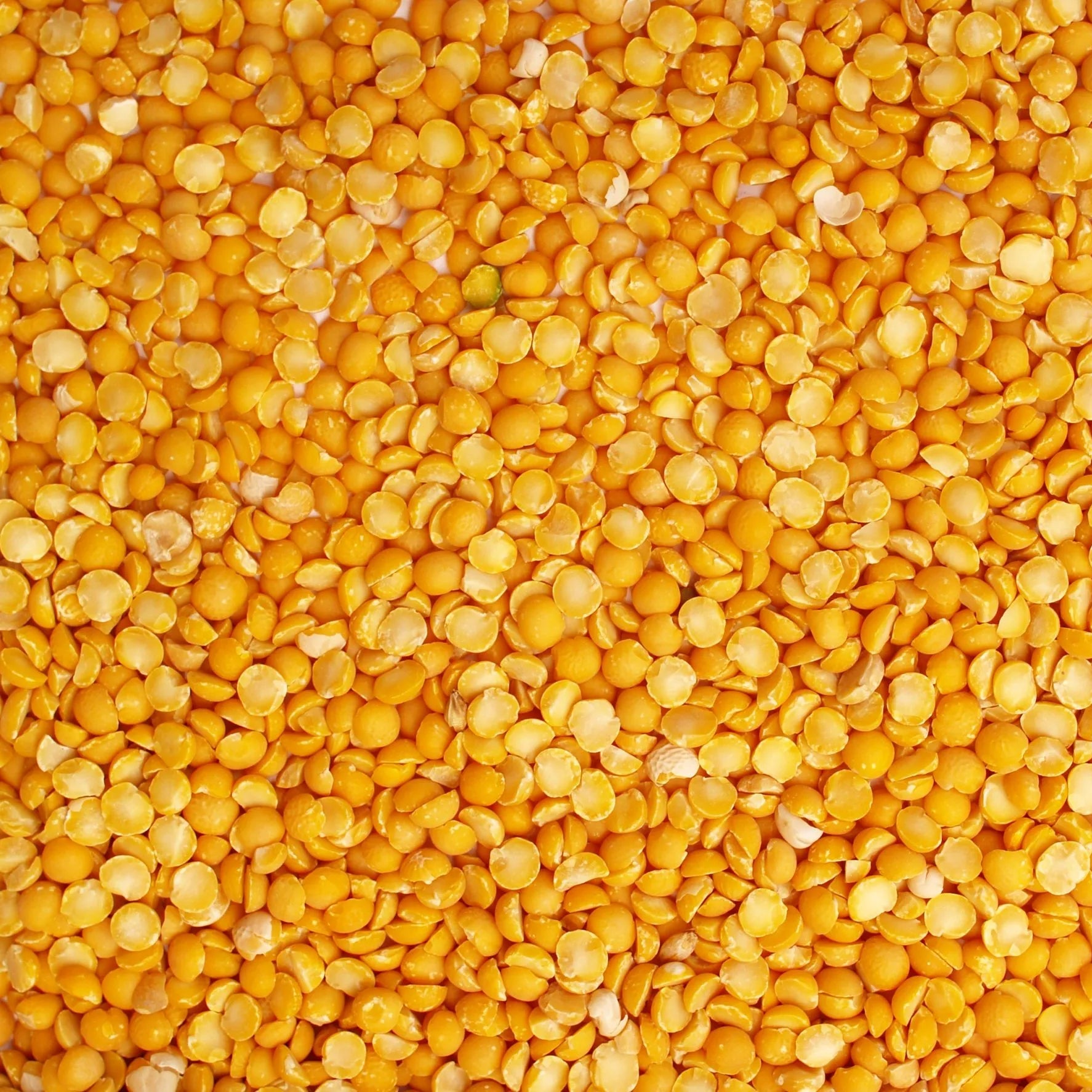 Yellow Split Peas - Papagino Foods Inc.