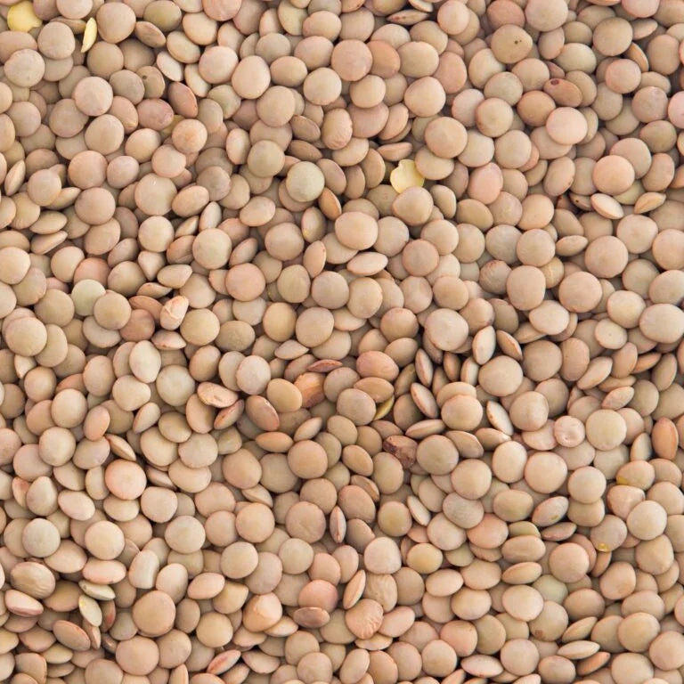 Brown Lentils 5 kg - Papagino Foods Inc.