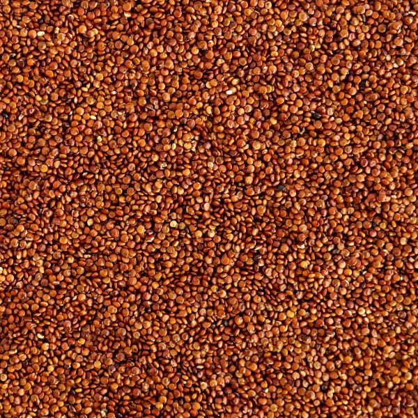 Red Quinoa 5 kg - Papagino Foods Inc.