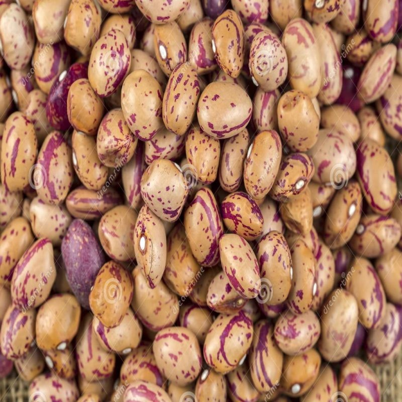 Romano Beans 5 kg - Papagino Foods Inc.