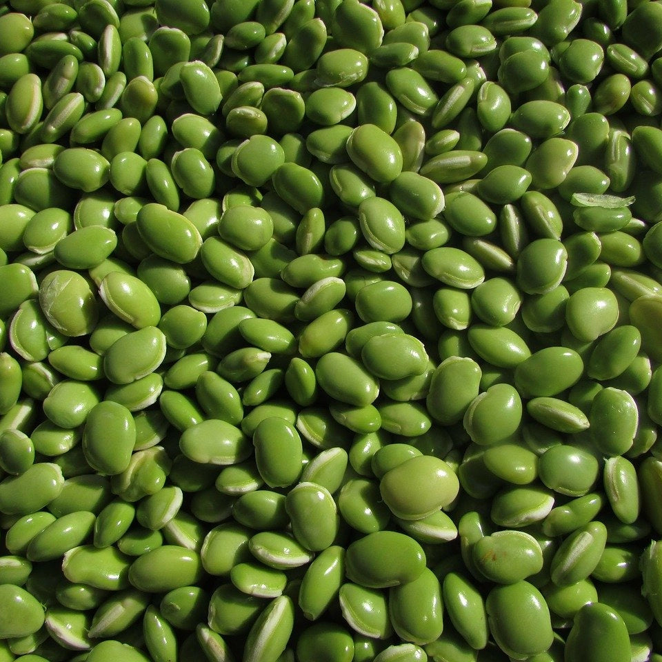 Small Fava Beans 5 kg - Papagino Foods Inc.