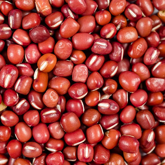 Small Red Kidney Beans 5 kg - Papagino Foods Inc.