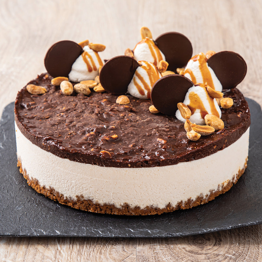 PreGel Semifreddo – Pronto - Papagino Foods Inc.