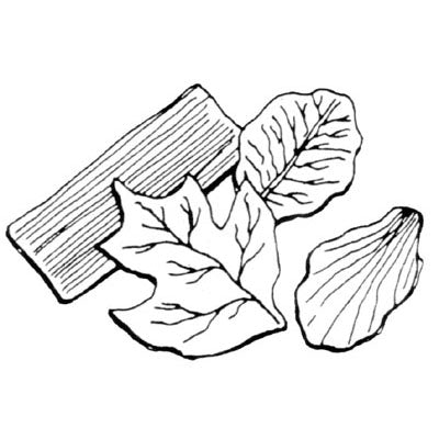 FMM Leaf Veiner Set (B) #43-C220 - Papagino Foods Inc.