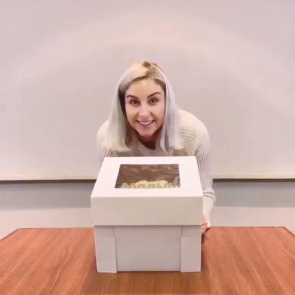 Enjay Adjustable Height Cake Box - FlexBox 14" x 14" - Papagino Foods Inc.