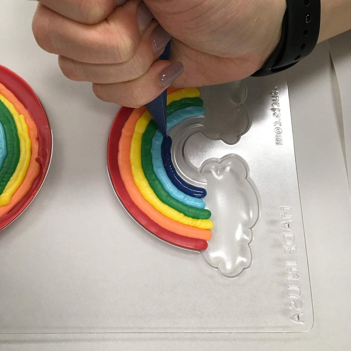 Rainbow Mold # 90-985 - Papagino Foods Inc.