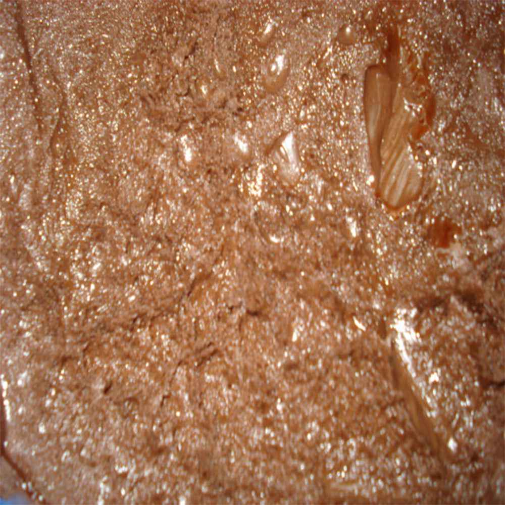 Chocolate Fondant 20 kg (Pickup Only)