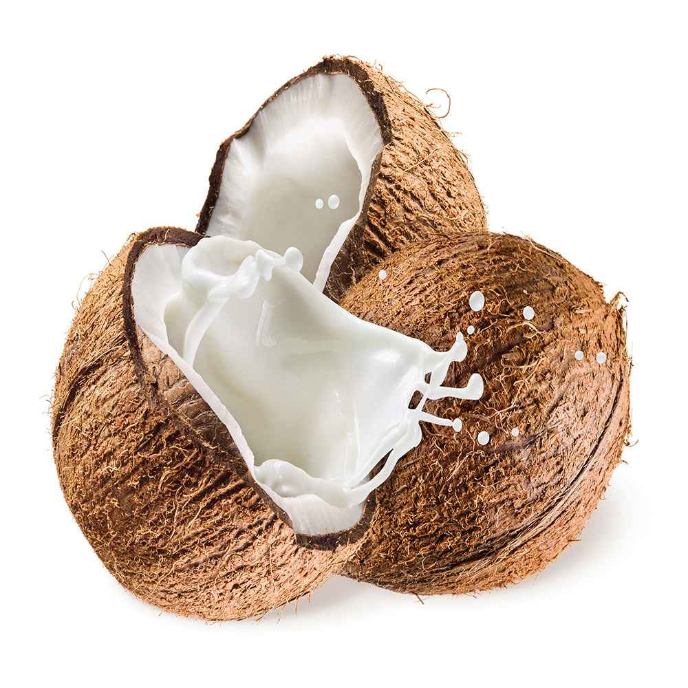 Coconut Milk 400 ml (Pickup Only)