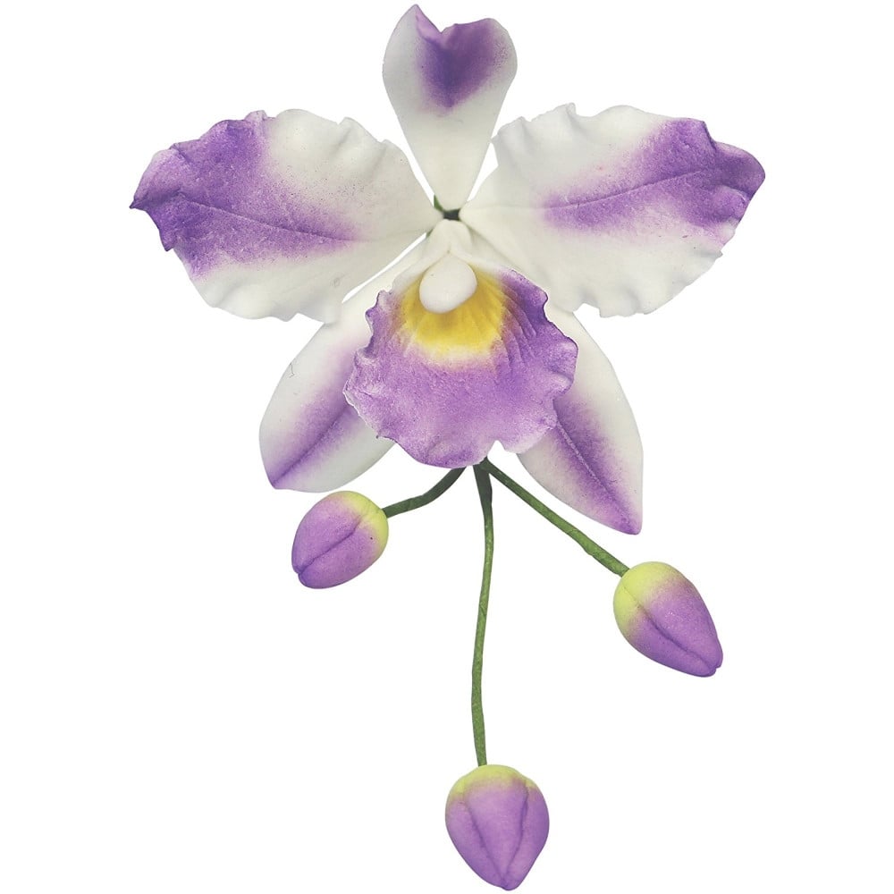 PME Cattleya Orchid Cutter Set - Papagino Foods Inc.