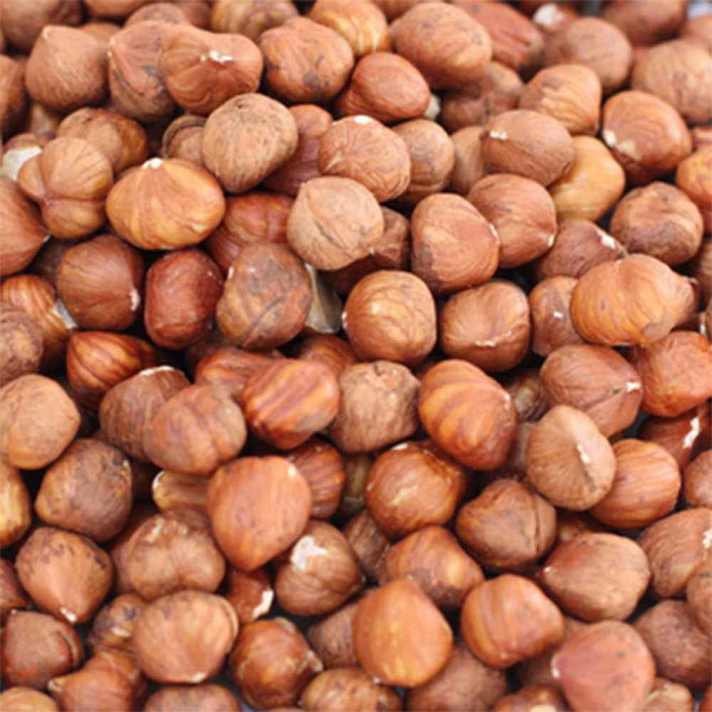 Filbert / Hazelnut Natural Whole 25 kg