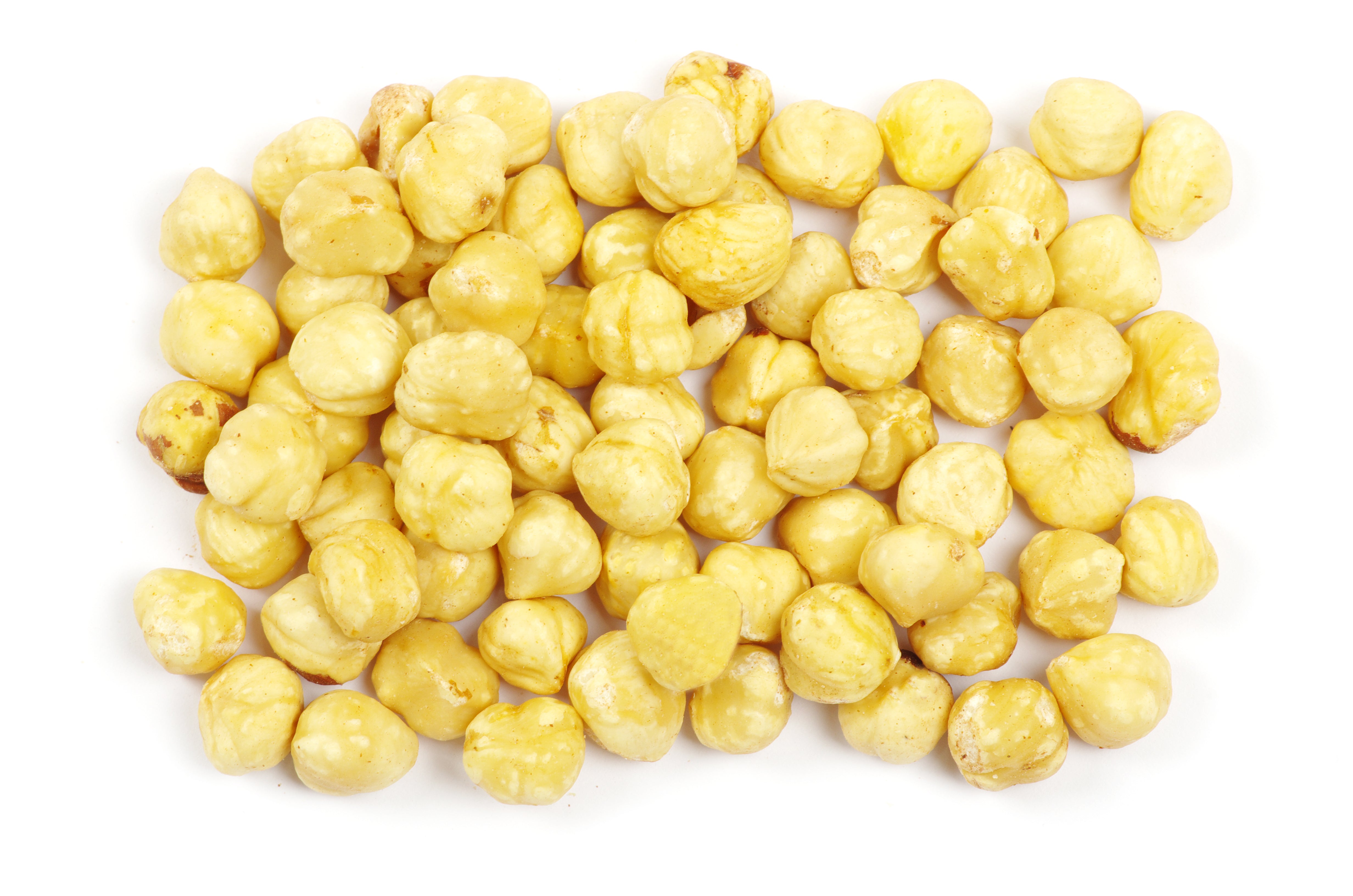 Filbert / Hazelnut Whole Blanched