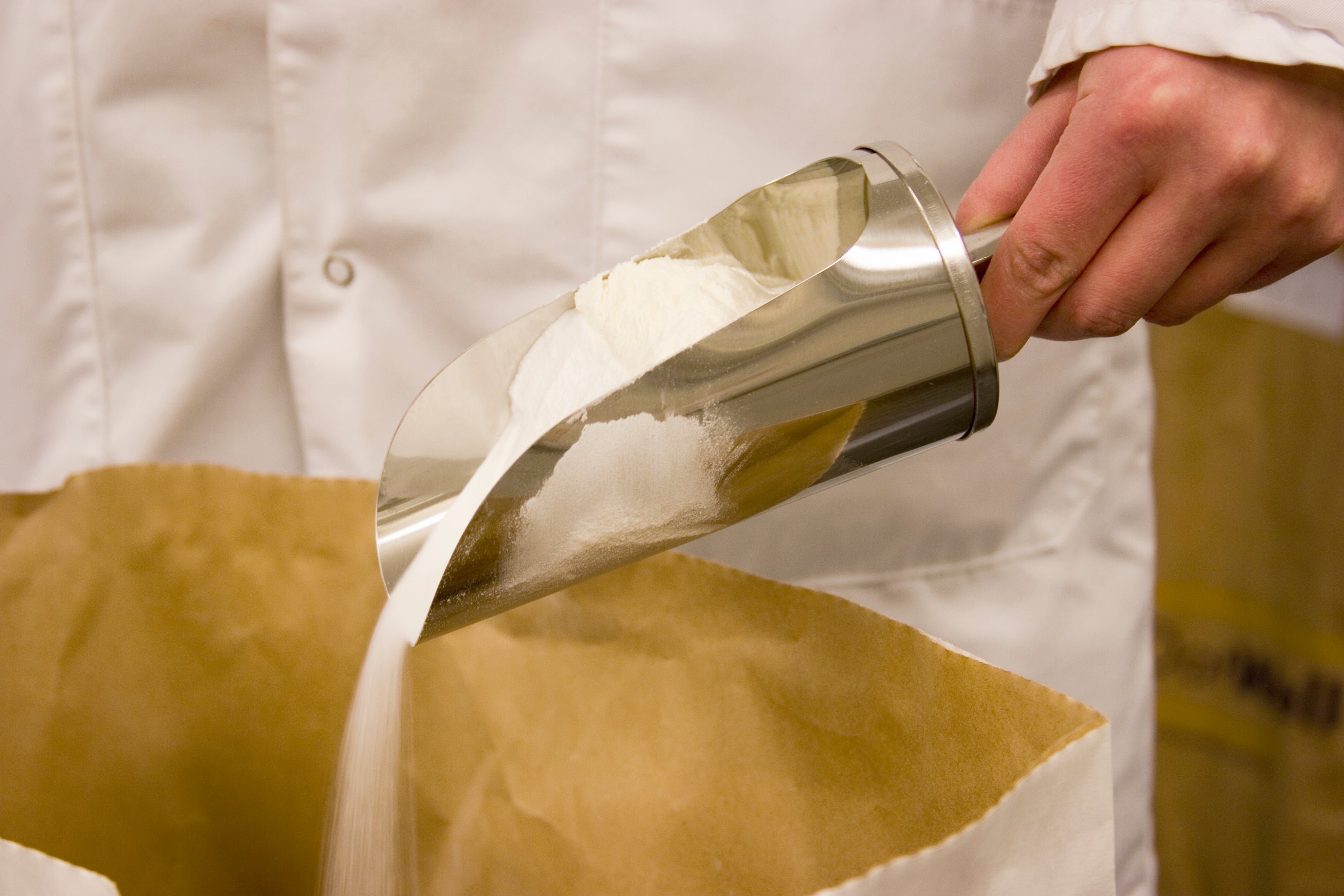 Gelatine Powder 250 Bloom 25 kg (Pickup only)