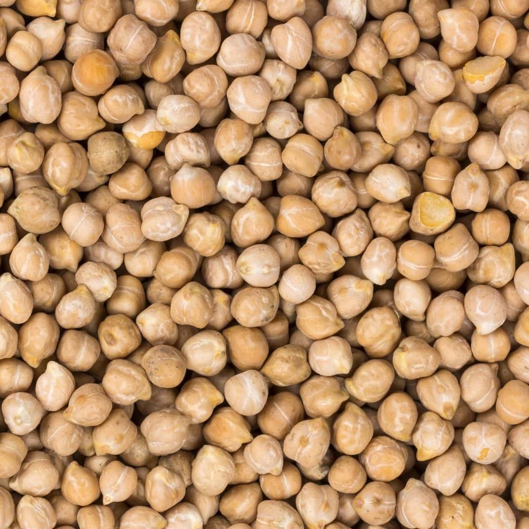 Chick Peas - Papagino Foods Inc. 