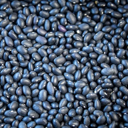 Black Turtle Beans 5 kg - Papagino Foods Inc. 