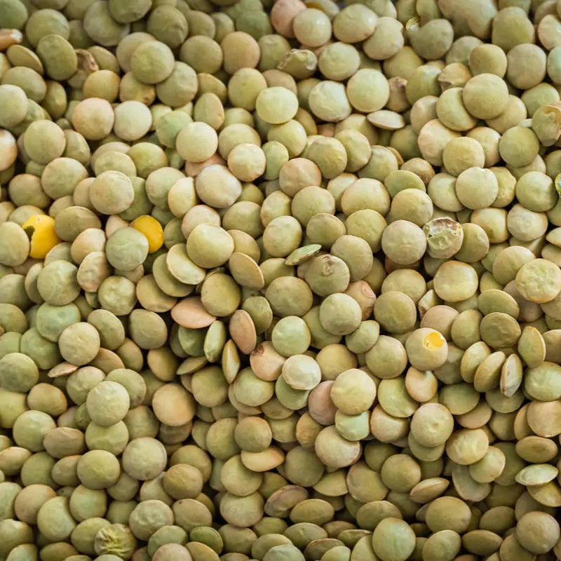 Green Lentils 5 kg - Papagino Foods Inc. 