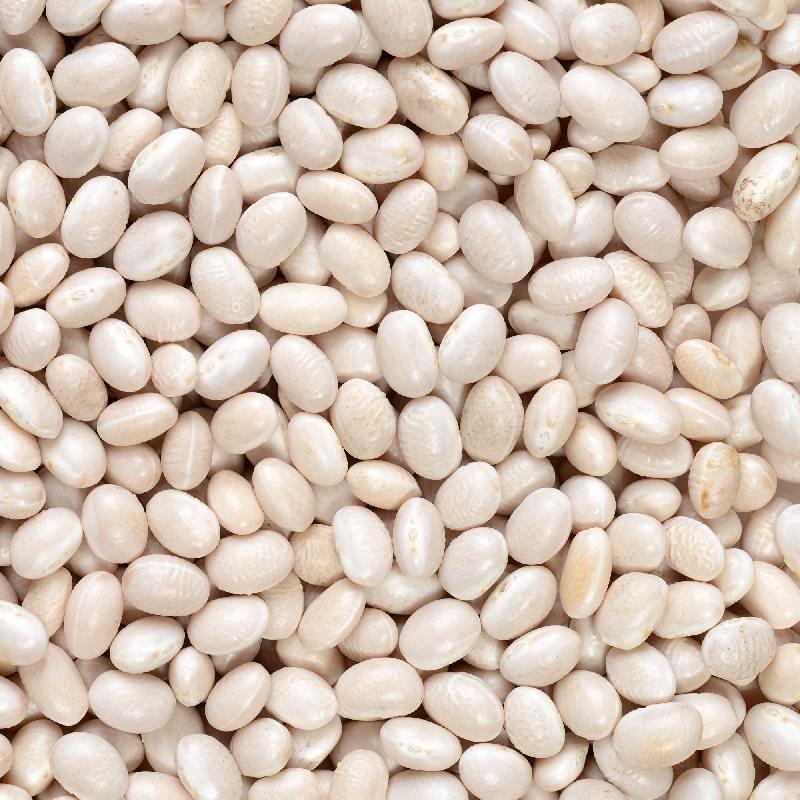Navy White Beans 5 kg - Papagino Foods Inc. 