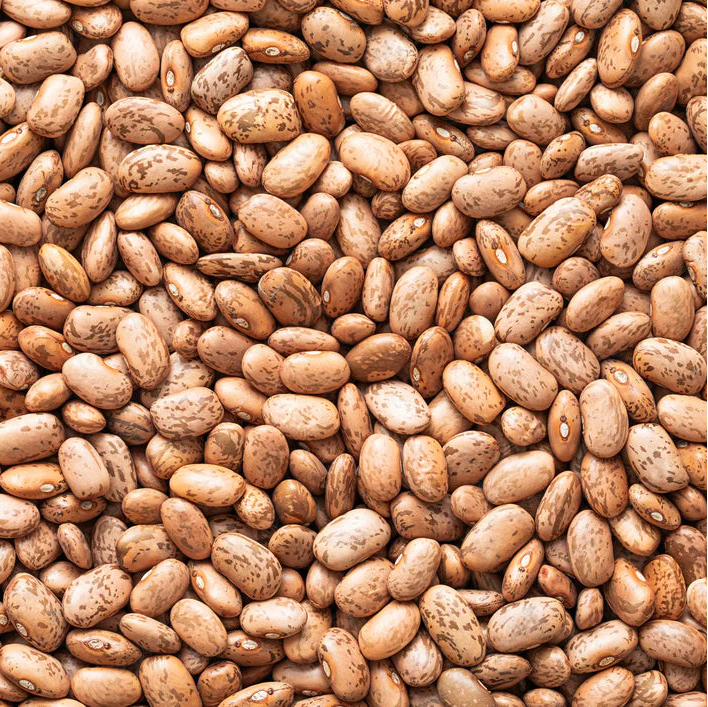 Pinto Beans 5 kg - Papagino Foods Inc. 