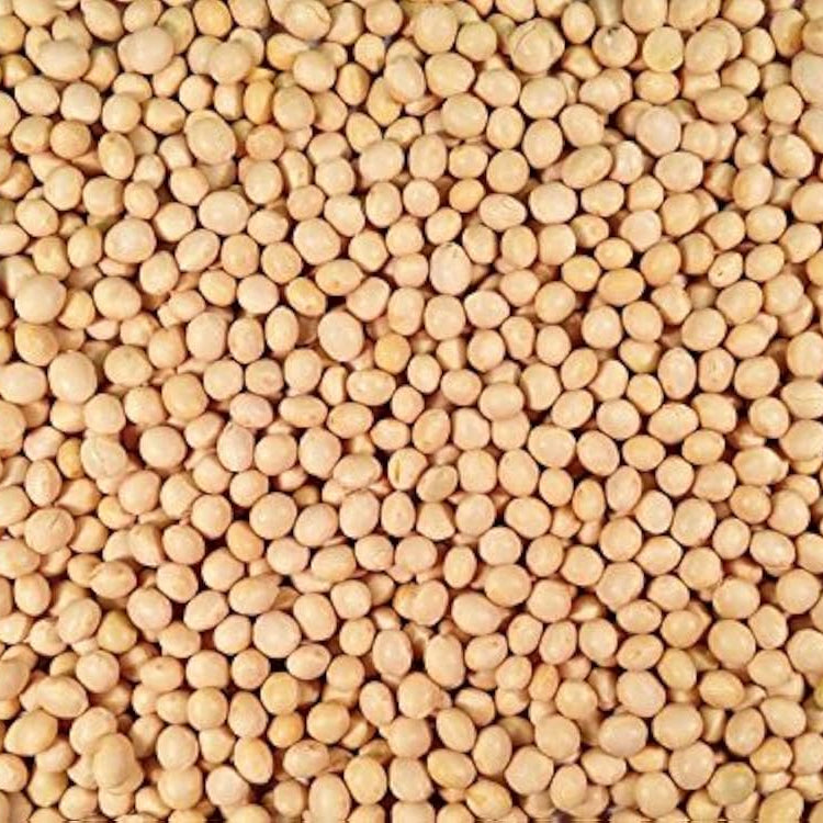 Soya Beans 10 lb - Papagino Foods Inc. 
