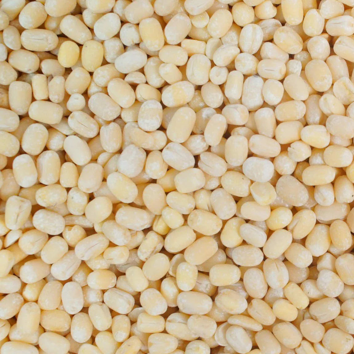 Urid Whole Peeled 10 lbs - Papagino Foods Inc. 
