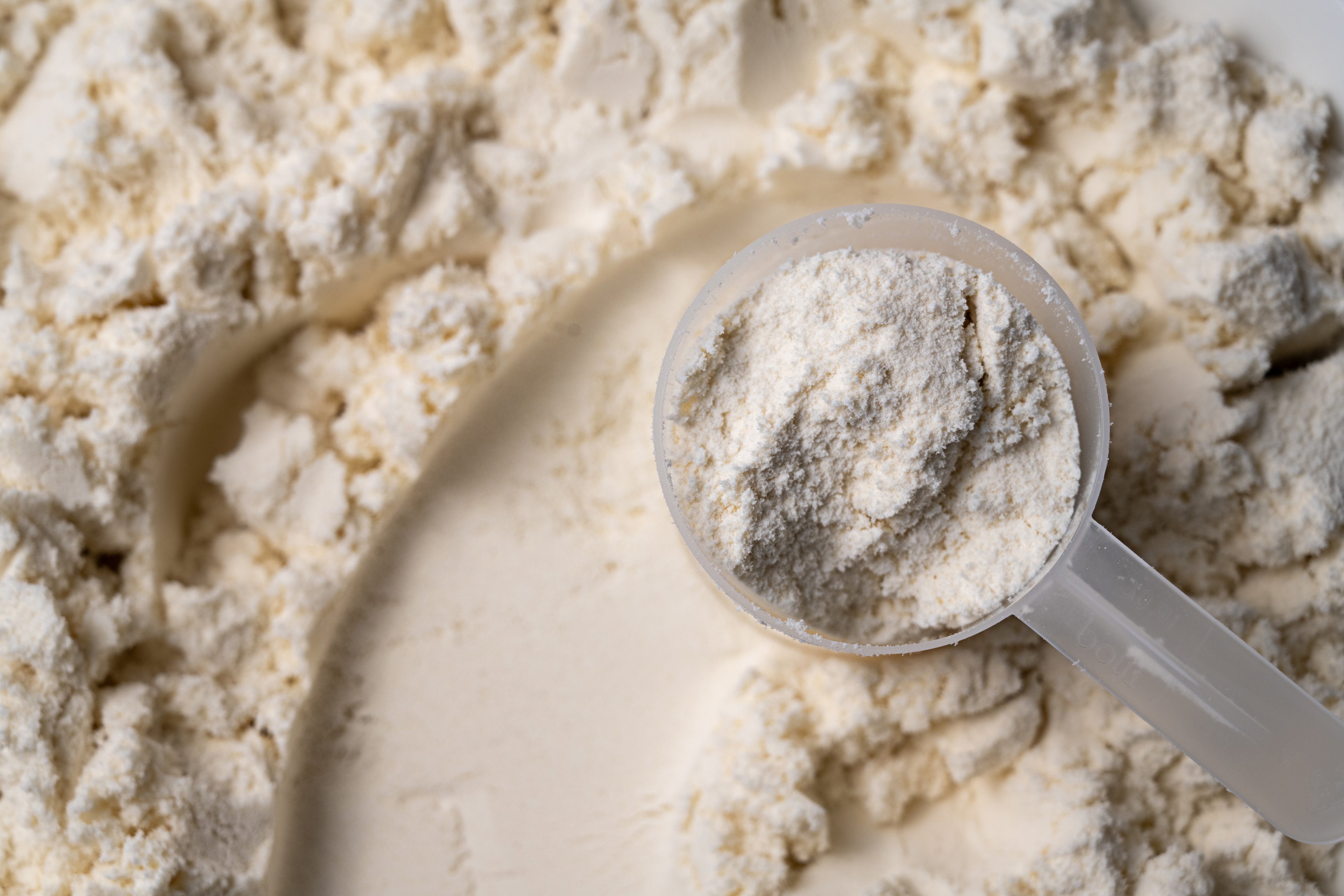 Whey Powder 25kg (Pickup Only) - Papagino Foods Inc. 