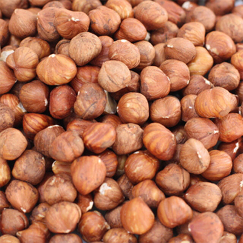 Filbert / Hazelnut Natural Whole  25 kg